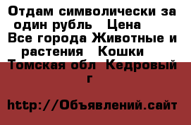 Отдам символически за один рубль › Цена ­ 1 - Все города Животные и растения » Кошки   . Томская обл.,Кедровый г.